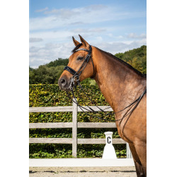 Briglia Dy'on Museruola Large Vernie collezione dressage cuoio tondo