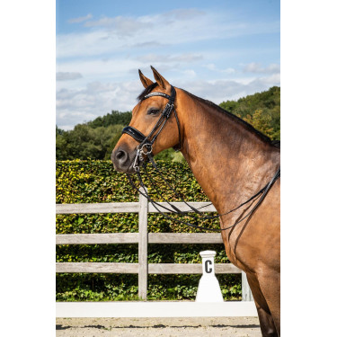 Briglia Dy'on Museruola Large Vernie collezione dressage cuoio tondo