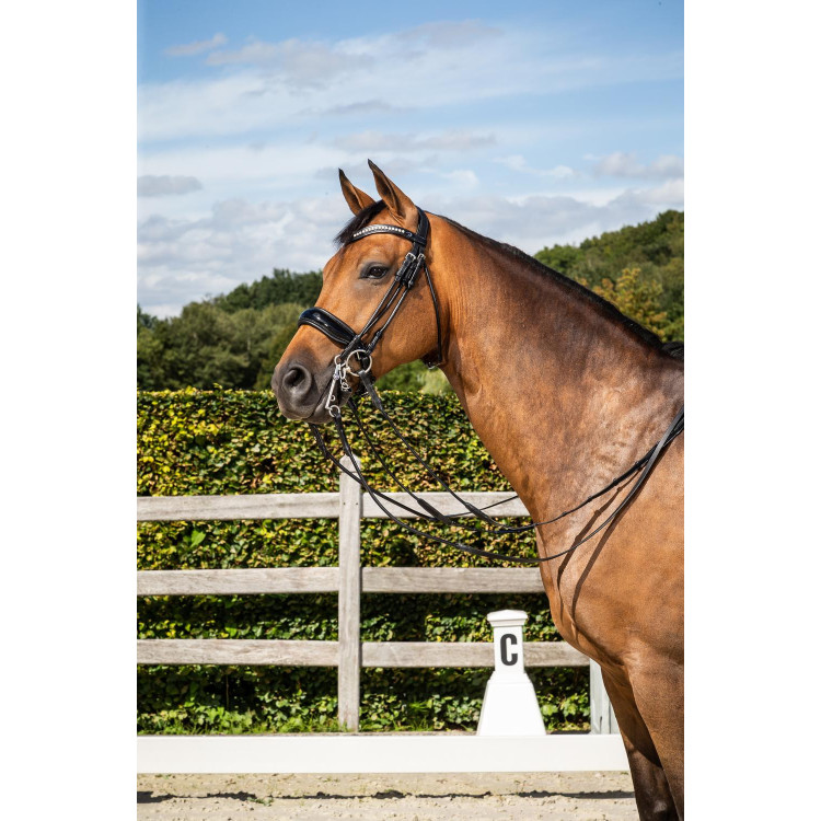 Briglia Dy'on Museruola Large Vernie collezione dressage cuoio tondo