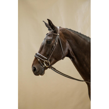 Briglia Working by Dy'on Capezzina Combinata Larga Lucida Fodera Bianca Marrone