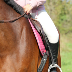 Sottosella Rider Harcour Karembar Rosa cipria Sottosella Rider Harcour Karembar Rosa cipria