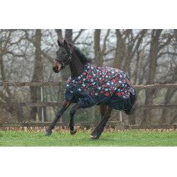 Coperta highneck HKM Norwich 600D 100g Blu con motivo a stelle Motivi Coperta highneck HKM Norwich 600D 100g Blu con motivo a stelle Motivi