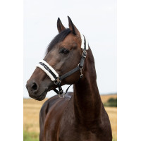 Capezza Howard Crescendo Horze Nero