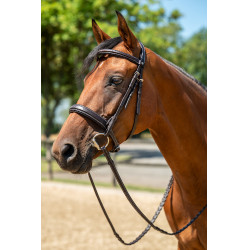 Bridon Hunter 2 HKM Marrone scuro