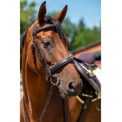 Bridon Hunter 2 HKM Marrone scuro