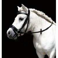 Briglia Mini Shetty HKM Nero Briglia Mini Shetty HKM Nero