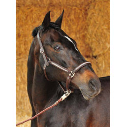 Capezza in cuoio Diamond HKM Capezza in cuoio Diamond HKM