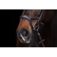 Briglia Anatomica Sports HKM Marrone