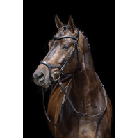 Briglia Anatomica Sports HKM Marrone