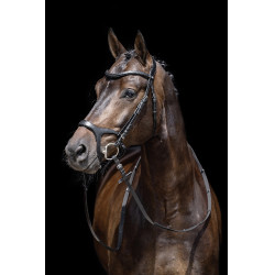 Briglia Anatomica Sports HKM Nero Briglia Anatomica Sports HKM Nero