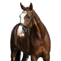 Bridon Bella HKM Nero Bridon Bella HKM Nero