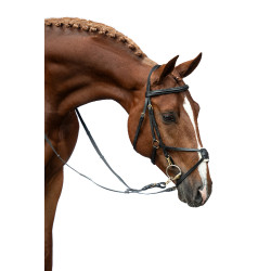 Briglia stile messicano rinforzata, montone HKM Marrone