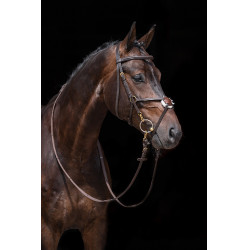 Briglia stile messicano rinforzata, montone HKM Marrone