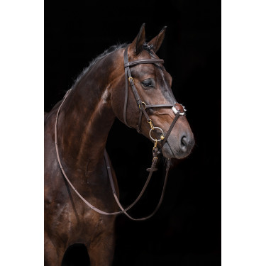 Briglia stile messicano rinforzata, montone HKM Marrone