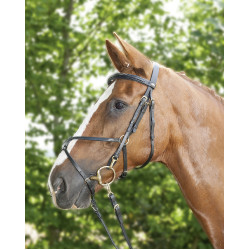 Briglia stile messicano rinforzata, montone HKM Nero