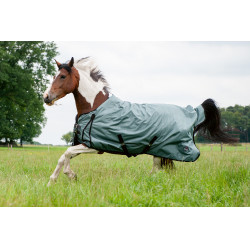 Coperta da esterno High Comfort Style 200g HKM Salvia Viola Coperta da esterno High Comfort Style 200g HKM Salvia Viola