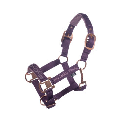 Capezzina Alva HKM Capezzina Alva HKM