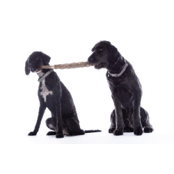 Giocattolo per cane Buddy Knot Bone HKM Giocattolo per cane Buddy Knot Bone HKM