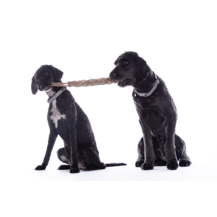 Giocattolo per cane Buddy Knot Bone HKM Giocattolo per cane Buddy Knot Bone HKM