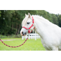 Lunga Aymee con moschettone HKM Rosso Lunga Aymee con moschettone HKM Rosso