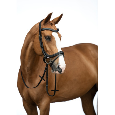 Briglia Anatomica HKM Nero