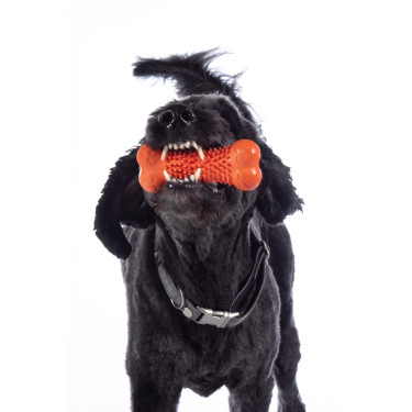 Giocattolo per cane Buddy Bone III gomma natu. HKM Giocattolo per cane Buddy Bone III gomma natu. HKM