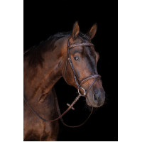 Bridon Jana HKM Marrone Bridon Jana HKM Marrone