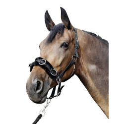 Capezzina cavezzone HKM in nylon imbottito Capezzina cavezzone HKM in nylon imbottito