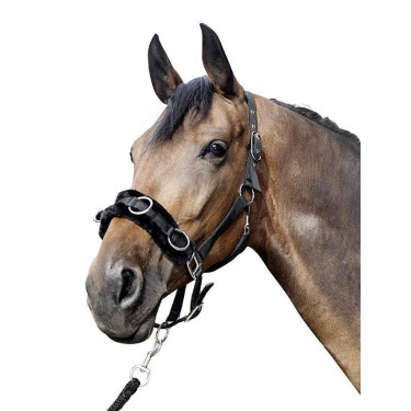 Capezzina cavezzone HKM in nylon imbottito Capezzina cavezzone HKM in nylon imbottito