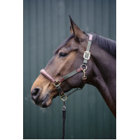 Capestro Luna in cuoio e nylon HKM Blu scuro / marrone