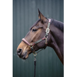 Capestro Luna in cuoio e nylon HKM Verde / marrone