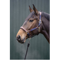 Capestro Luna in cuoio e nylon HKM Blu scuro / marrone