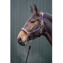 Capestro Luna in cuoio e nylon HKM Blu scuro / marrone