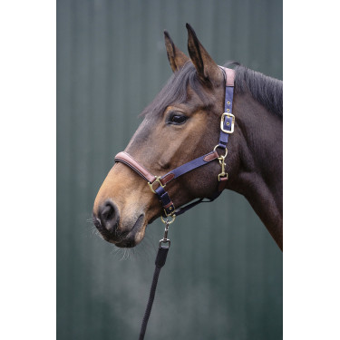 Capestro Luna in cuoio e nylon HKM Blu scuro / marrone