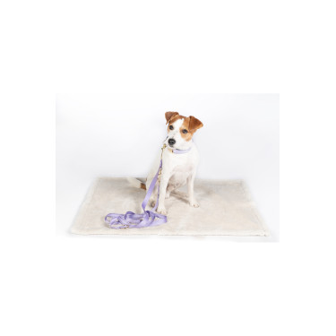 Tappeto per cane Lilly HKM Tappeto per cane Lilly HKM