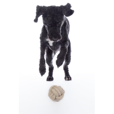 Giocattolo per cane Buddy Knot Ball HKM Giocattolo per cane Buddy Knot Ball HKM