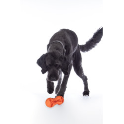 Giocattolo per cane Buddy Bone II gomma naturale. HKM Giocattolo per cane Buddy Bone II gomma naturale. HKM