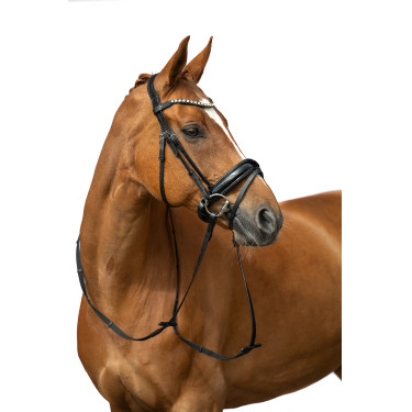 Bridon Fleur HKM Nero