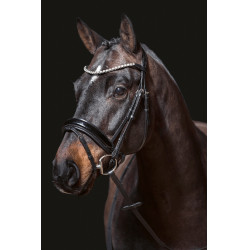 Bridon Fleur HKM Nero