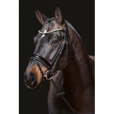 Bridon Fleur HKM Nero