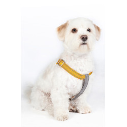 Imbracatura per cane StepIn Anam Cara in nylon HKM Imbracatura per cane StepIn Anam Cara in nylon HKM