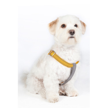 Imbracatura per cane StepIn Anam Cara in nylon HKM Imbracatura per cane StepIn Anam Cara in nylon HKM