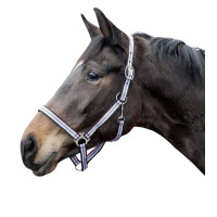 Capezza Linz HKM Marrone / grigio / rosa / blu
