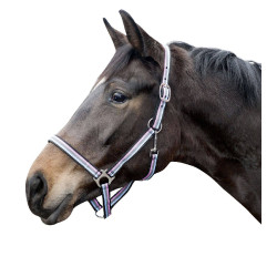 Capezza Linz HKM Marrone / grigio / rosa / blu Capezza Linz HKM Marrone / grigio / rosa / blu