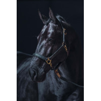 Capezza in cuoio Gold HKM Nero