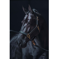 Capezza in cuoio Gold HKM Nero