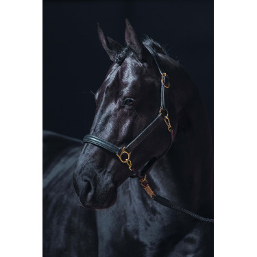 Capezza in cuoio Gold HKM Nero