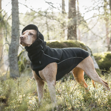 Scaldacollo per cane Back on Track Benji Nero Scaldacollo per cane Back on Track Benji Nero