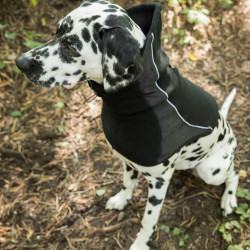 Scaldacollo per cane Back on Track Benji Nero