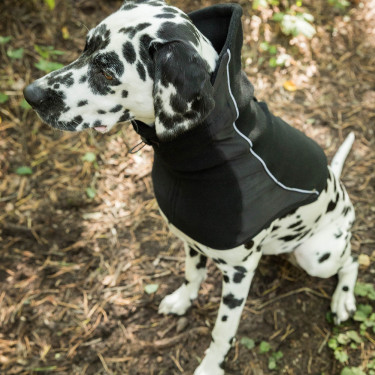 Scaldacollo per cane Back on Track Benji Nero Scaldacollo per cane Back on Track Benji Nero
